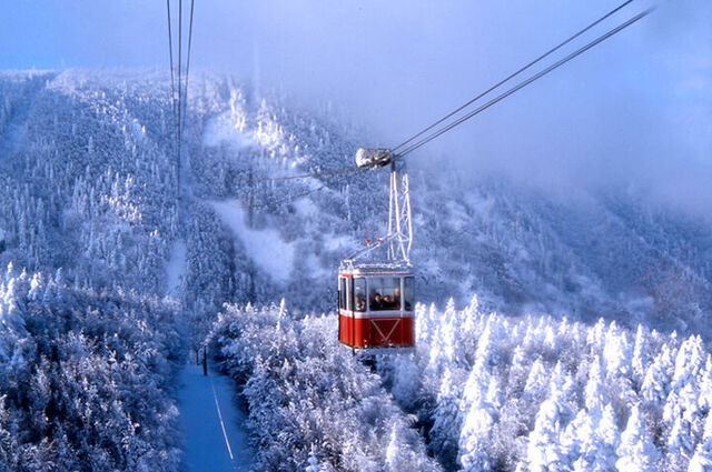 Abant&Kartepe&Uludağ Turu