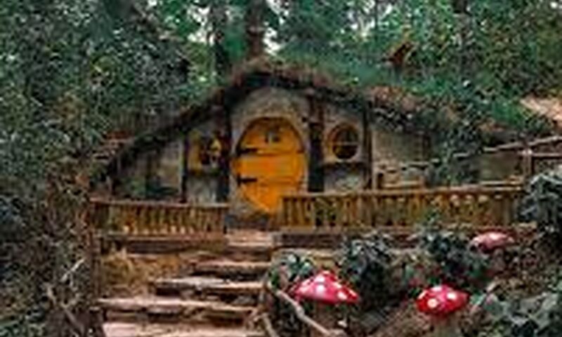 Günübirlik Ormanya Maşukiye Sapanca Turu